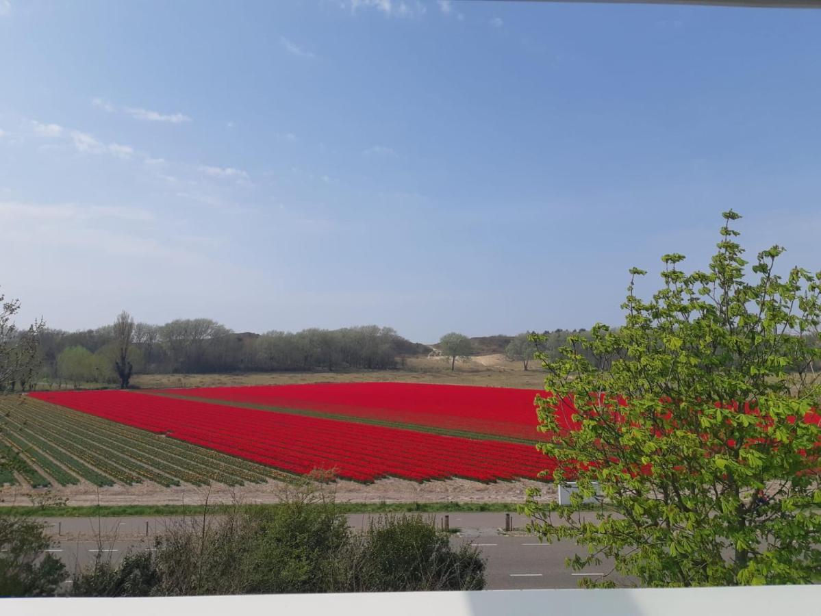 4T4 Apartment C Egmond aan den Hoef Bagian luar foto